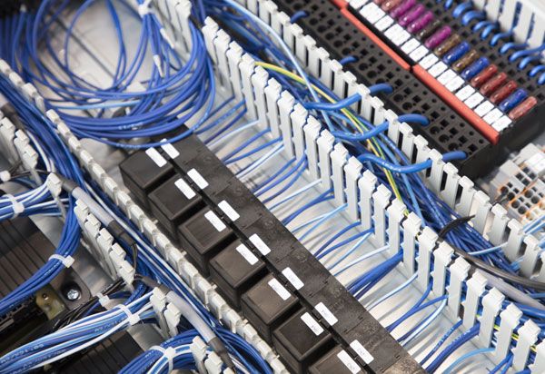 A control cabinet installation with numerous blue and black cables.